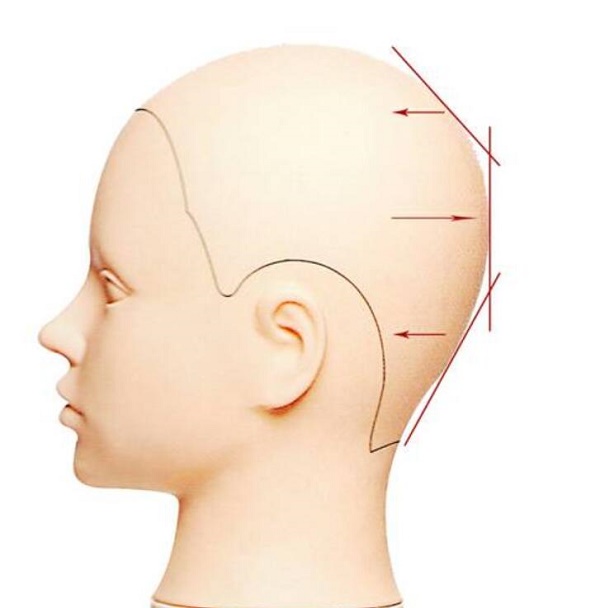 美发师必须知道的头型头骨知识，不同的头型对于我们的美发将会产生什么影响